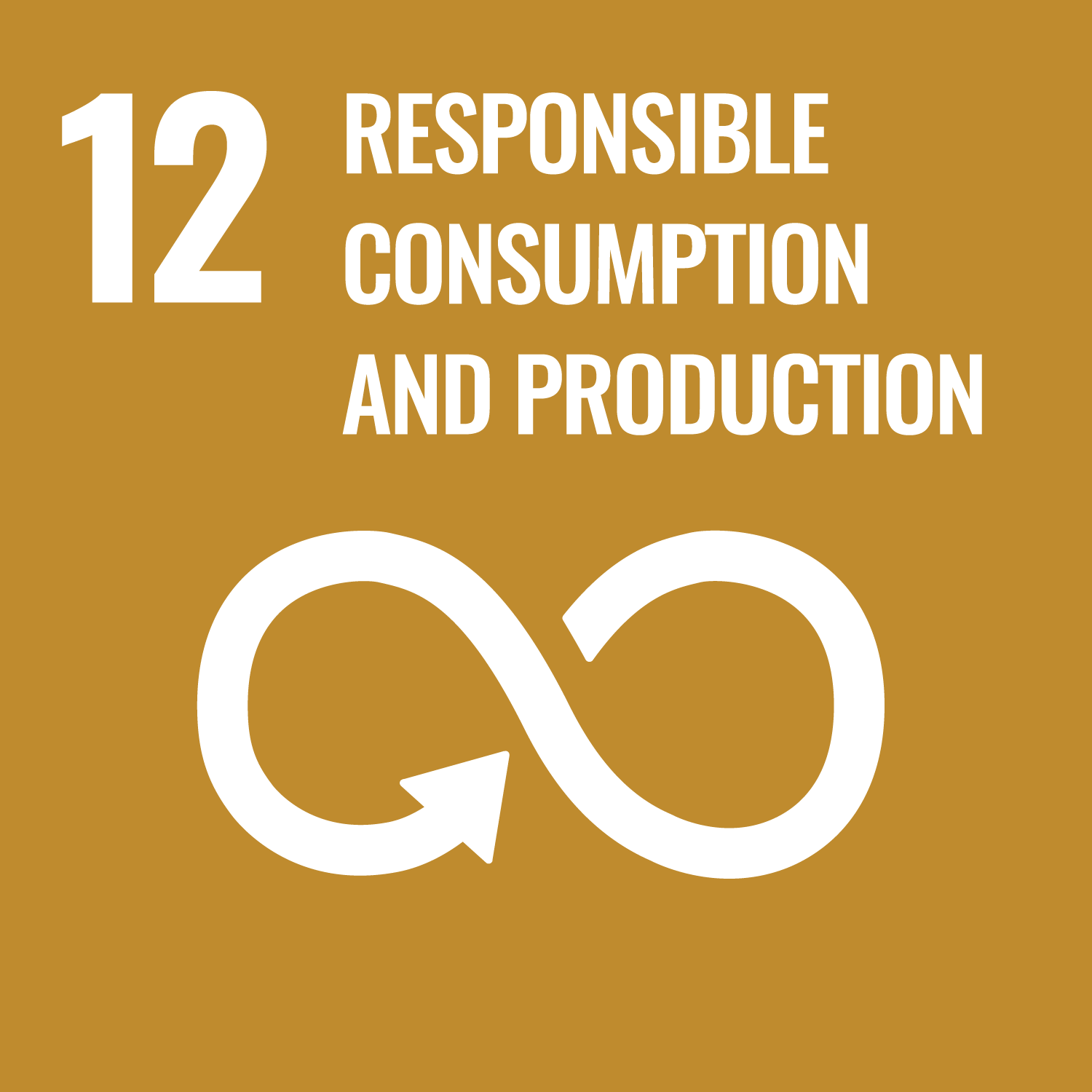 12 - Responsible Consumption & Production