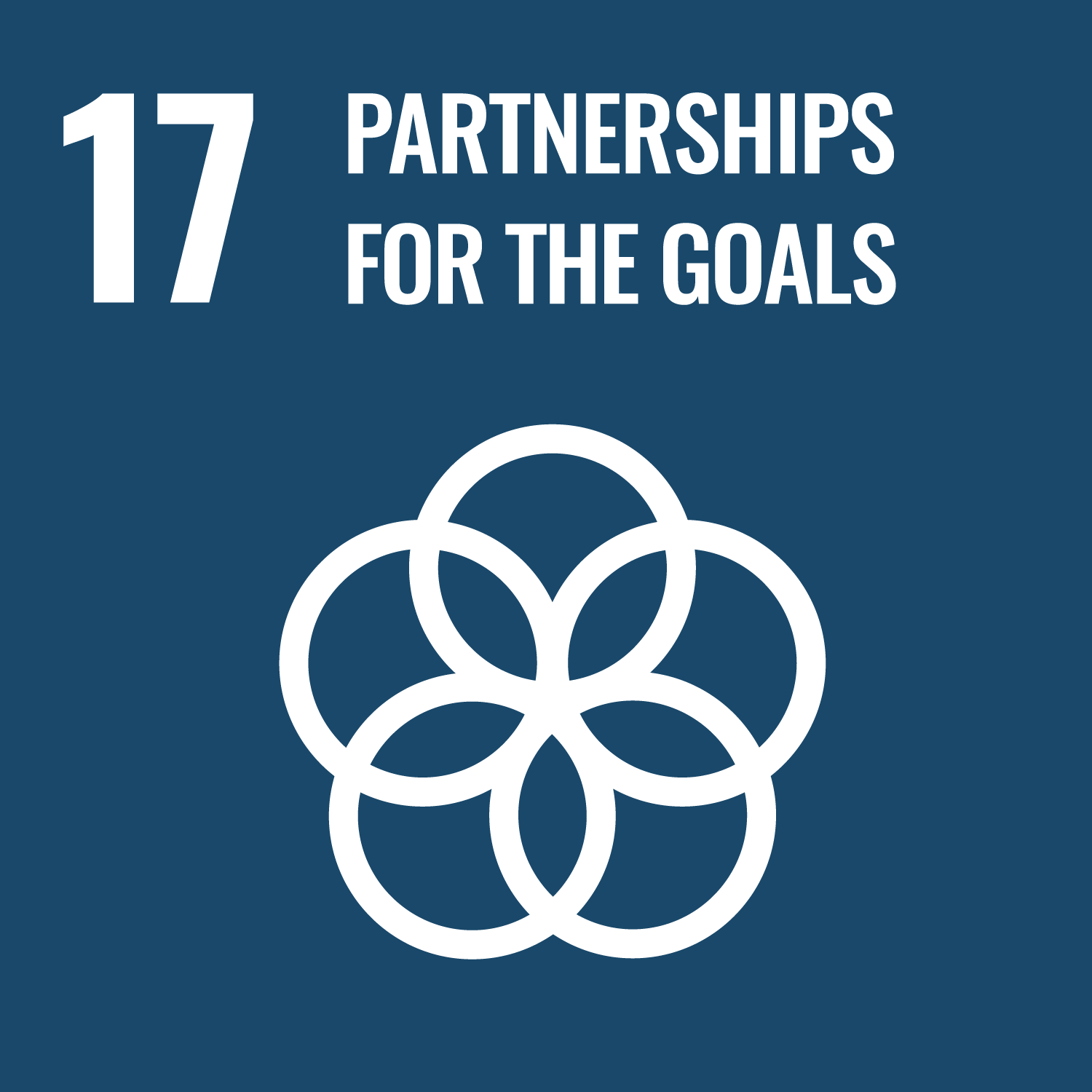 17 - Partnerships For the Goals